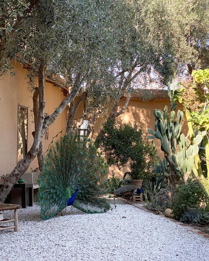Dar Al Hossoun Hotel Taroudant Exterior photo